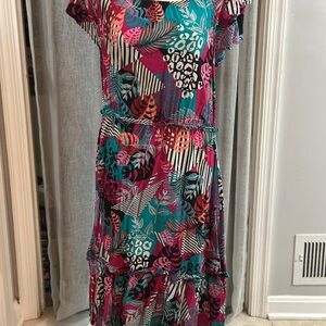 Robert Louis Pink and Teal Midi Dress